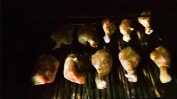 chicken 1.webp