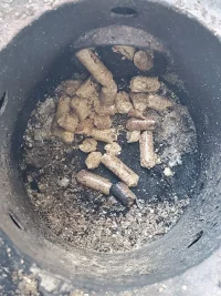 Pit ash.webp