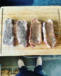 traegerx2.webp