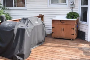 bbq_grill_butler.webp