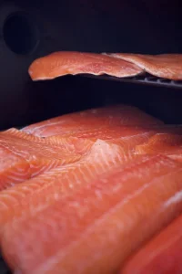 Salmon 2.webp