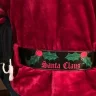 Santa Fitz