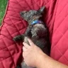 GusGus
