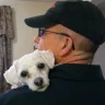 McWiggle-3