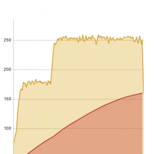 IMG_0237.PNG