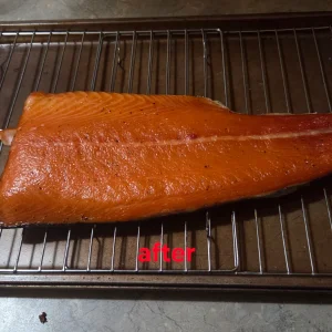 20260808_000659.webp