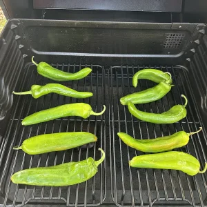 traeger-green-chili1.jpeg