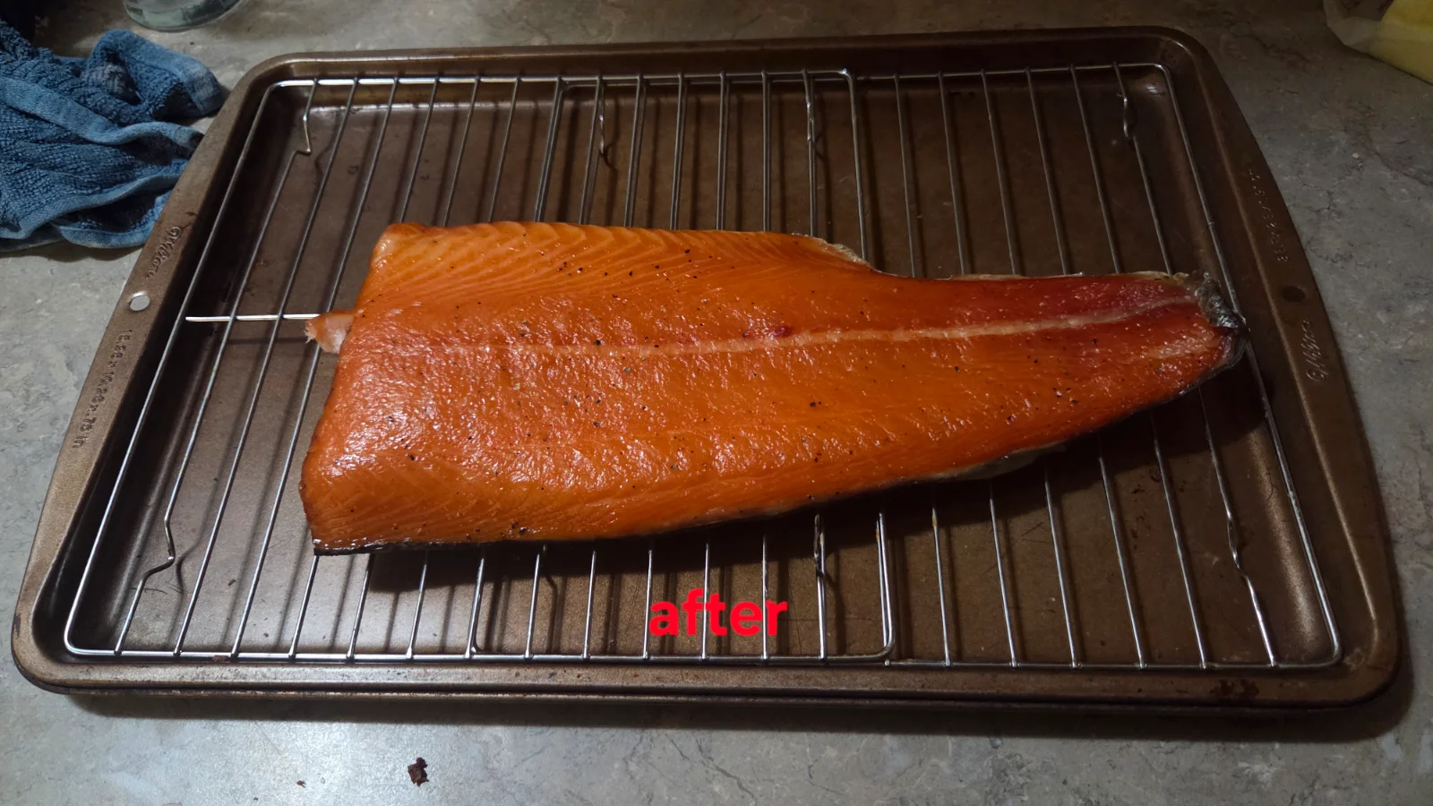 20260808_000659.webp