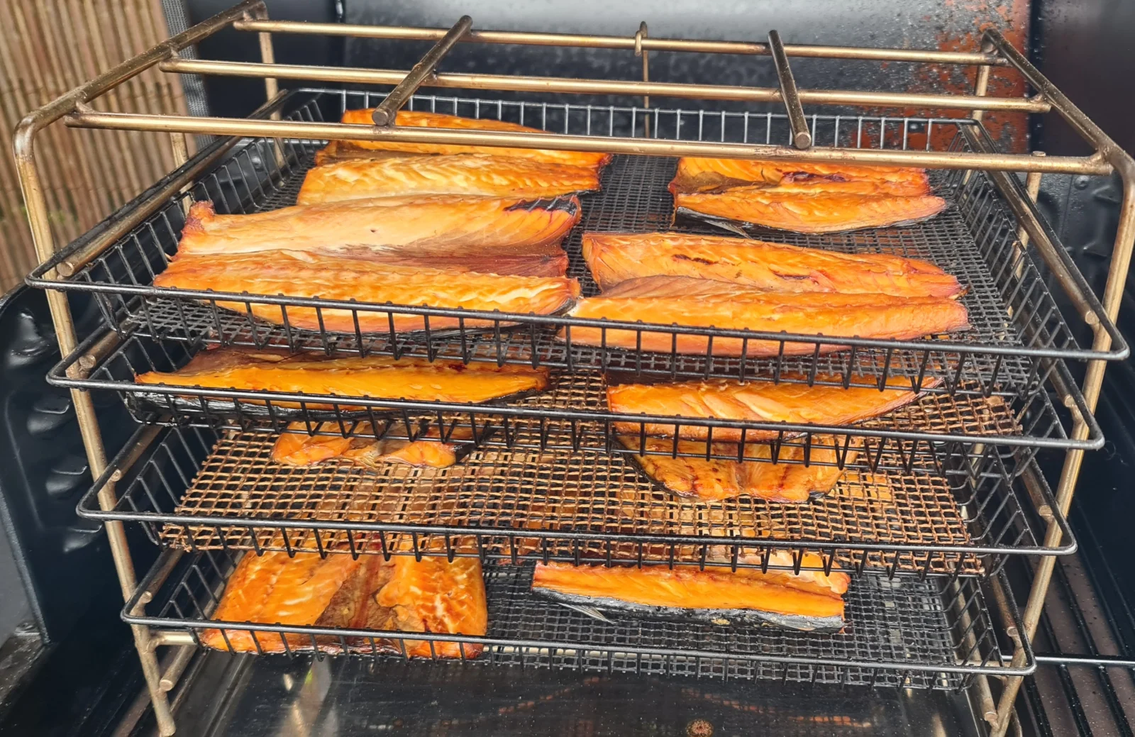 Traeger 1.webp